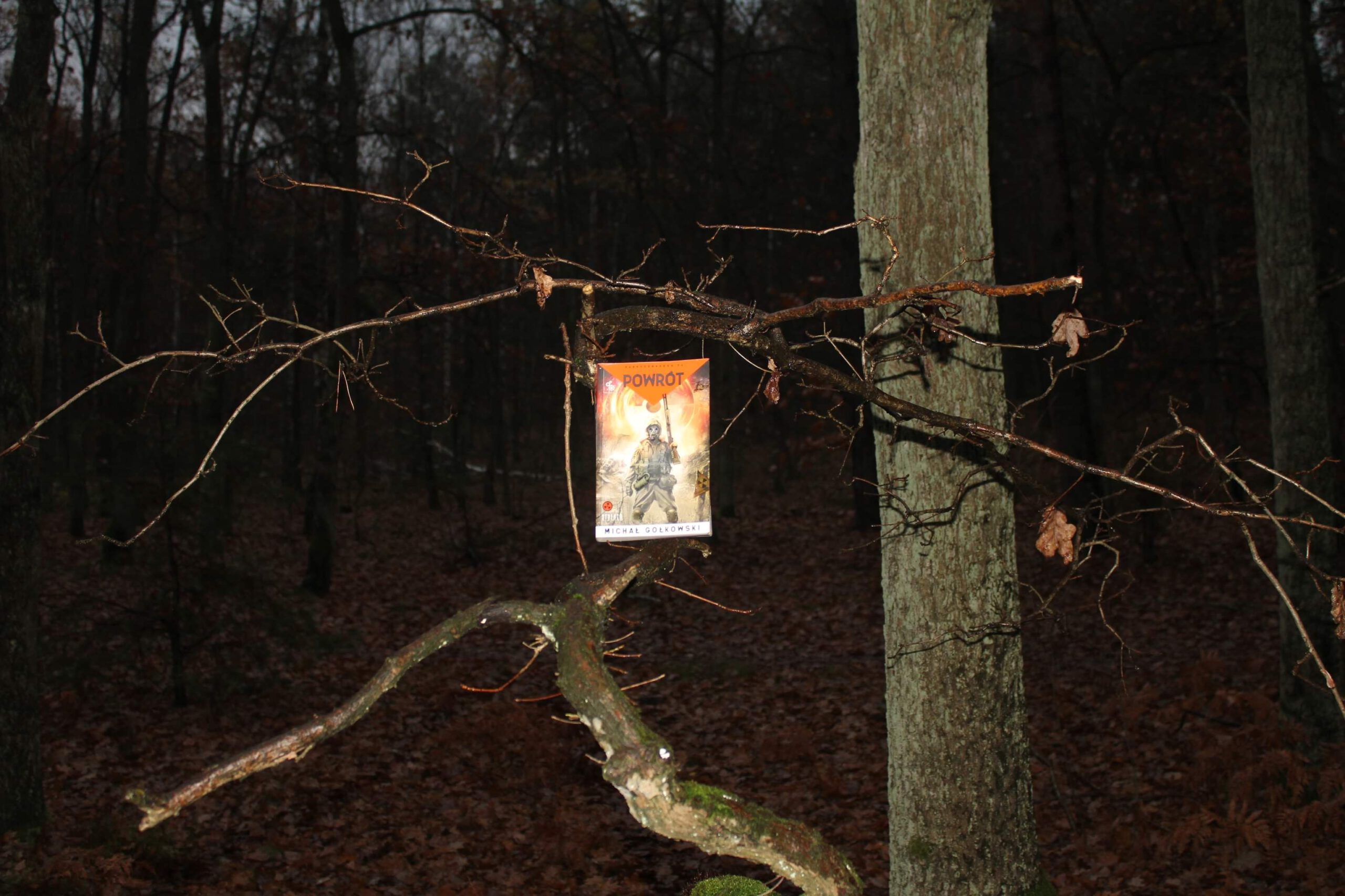 książka oparta na gałęzi drzewa -wykonał Kamil Maciszewski 3PH5