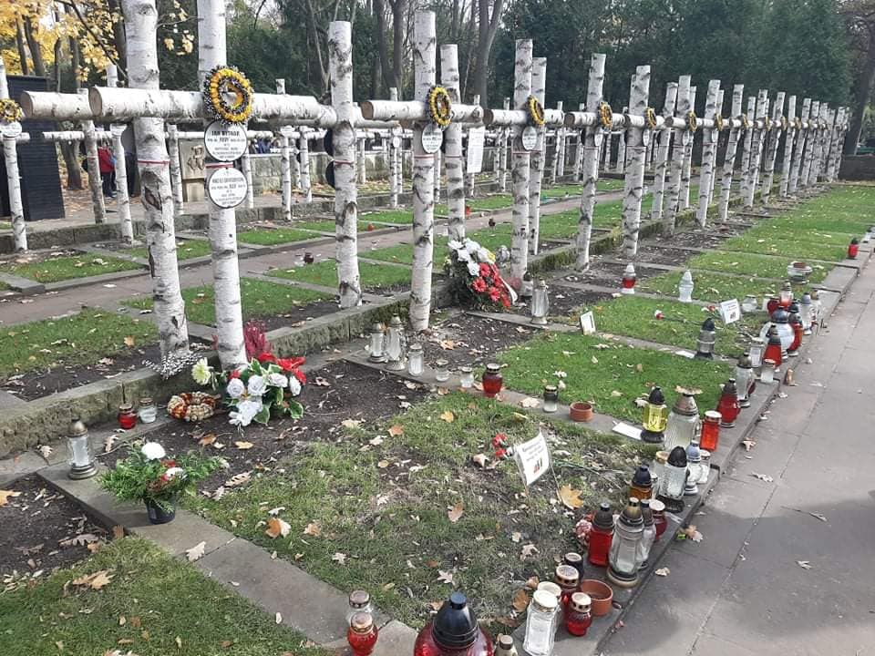 szereg grobów z brzozowymi krzyżami